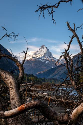 Портрет Белалакой