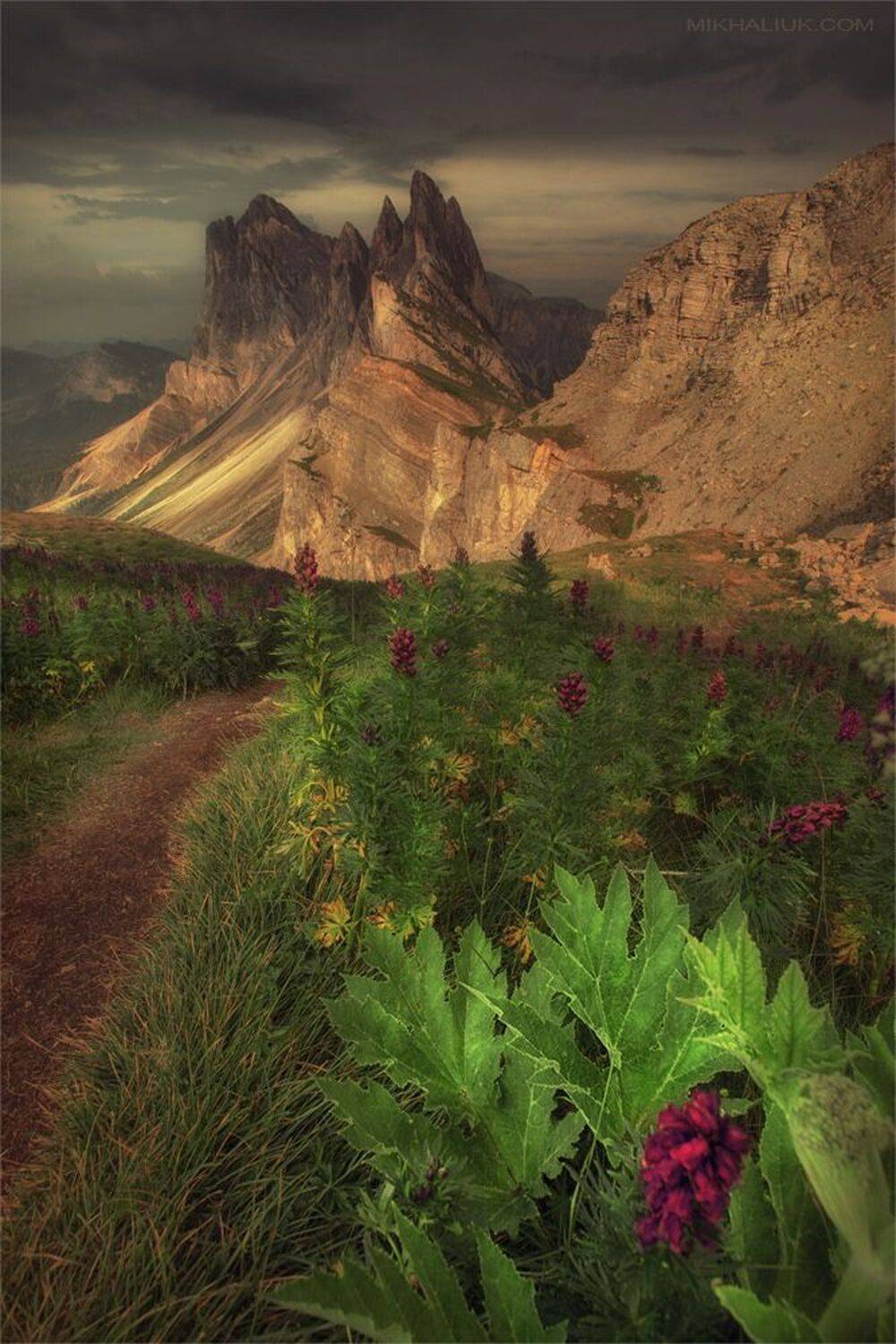 , Михалюк Сергей *