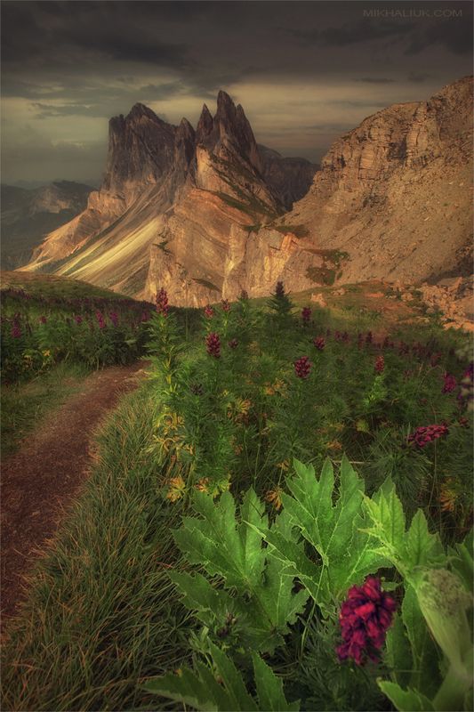 DOLOMITES * фото превью