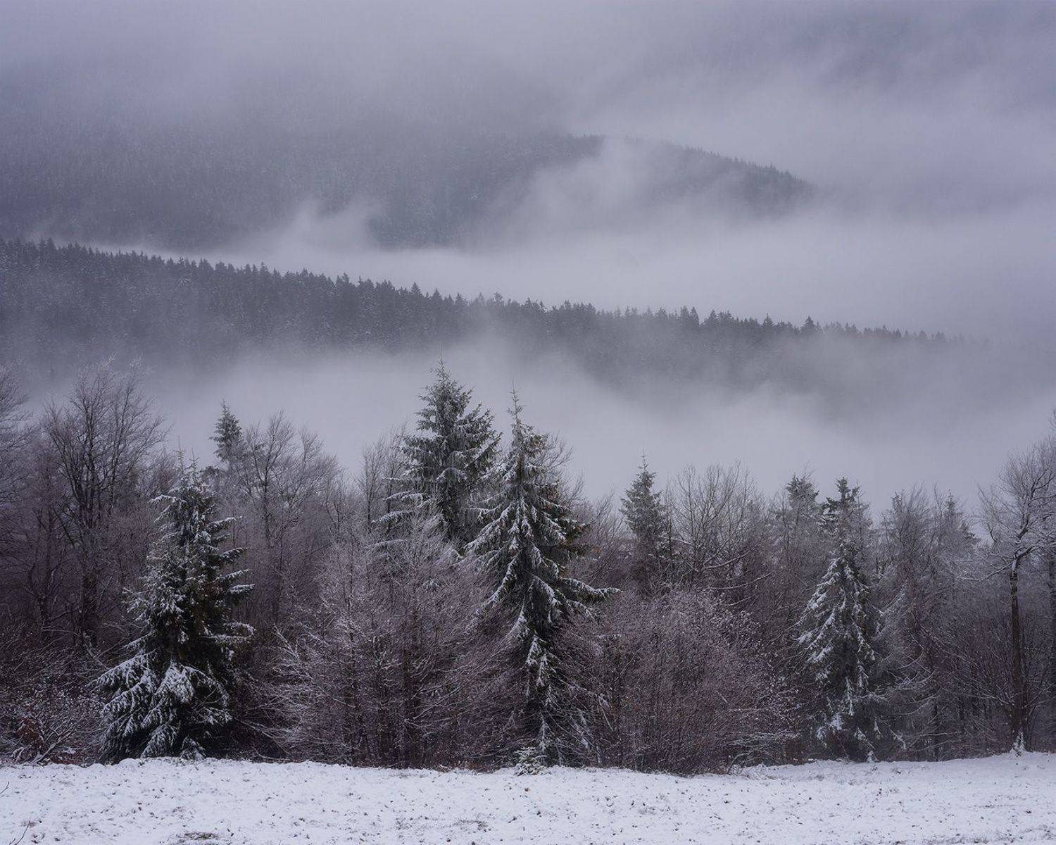 winter, snow, cold, snowing, ice, wintertime, forest, woods, trees, tree, hiking, wood, outdoors, cz, czechrepublic, europe, valassko, beskydy, sigma, nikon, art, white, landscape, blue, clouds, nature, christmas, beauty, scenery, bluehour, outside, xmas, Овчинников Дмитрий