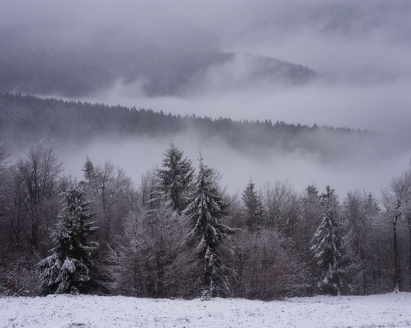 winter, snow, cold, snowing, ice, wintertime, forest, woods, trees, tree, hiking, wood, outdoors, cz, czechrepublic, europe, valassko, beskydy, sigma, nikon, art, white, landscape, blue, clouds, nature, christmas, beauty, scenery, bluehour, outside, xmas Бескиды фото превью