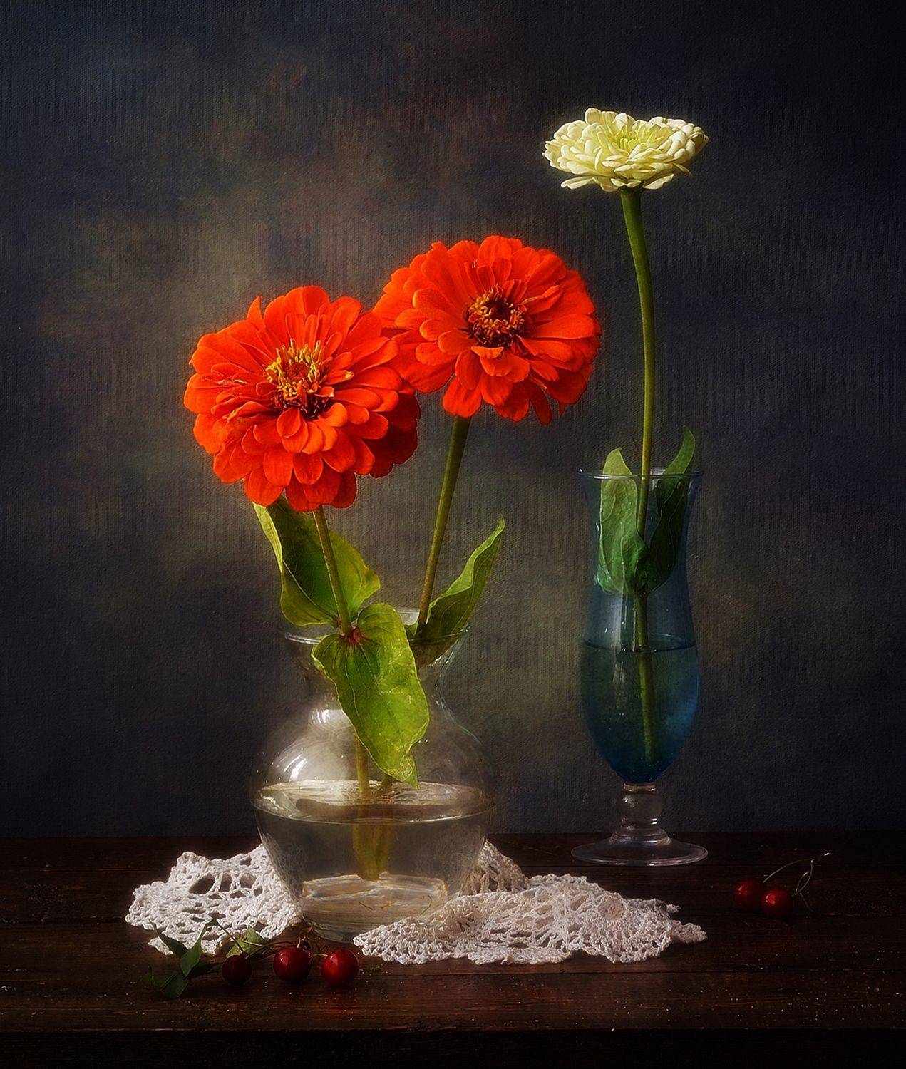 натюрморт,цветы,лето,цинния, Наталия К