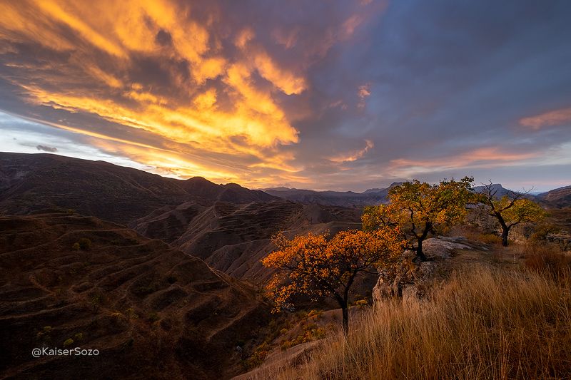 Осенние террасы фото превью