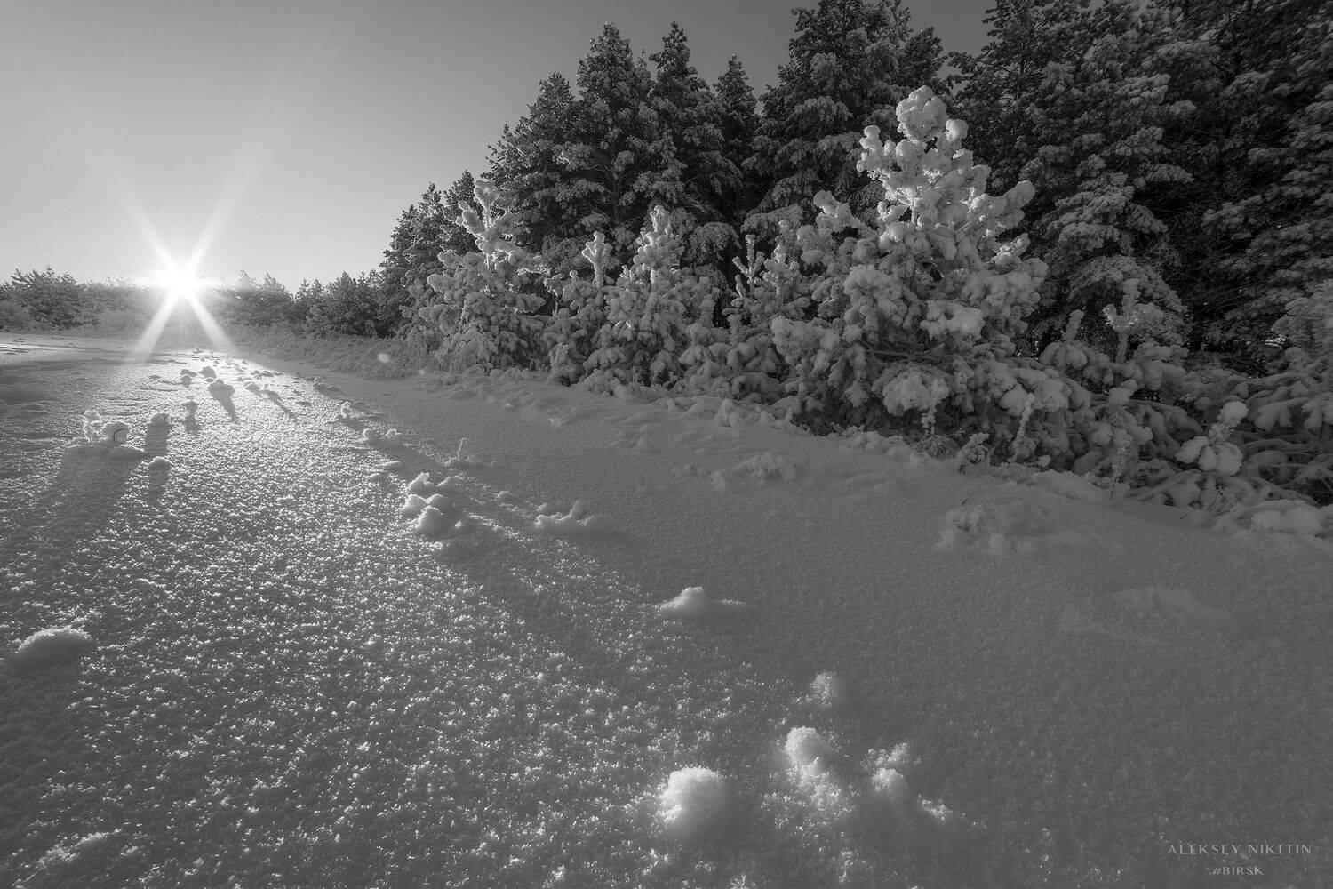 , Никитин Алексей