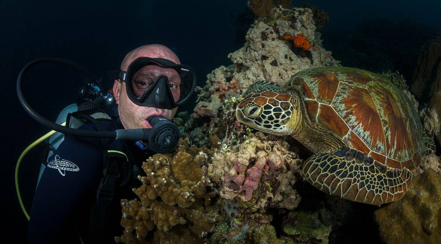 , Савин Андрей