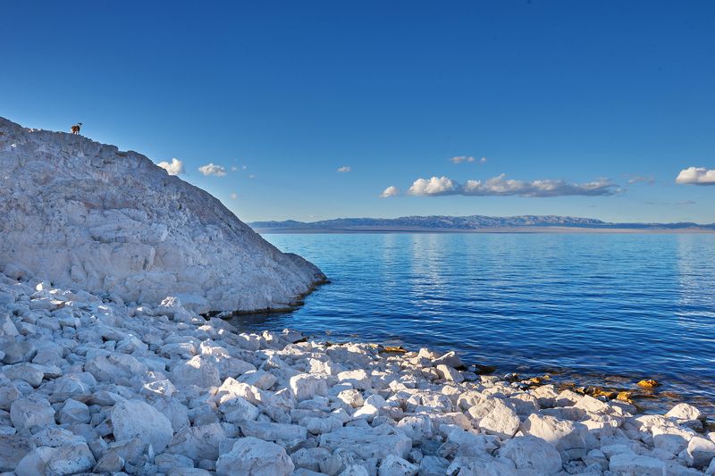 Уходящая натура фото превью