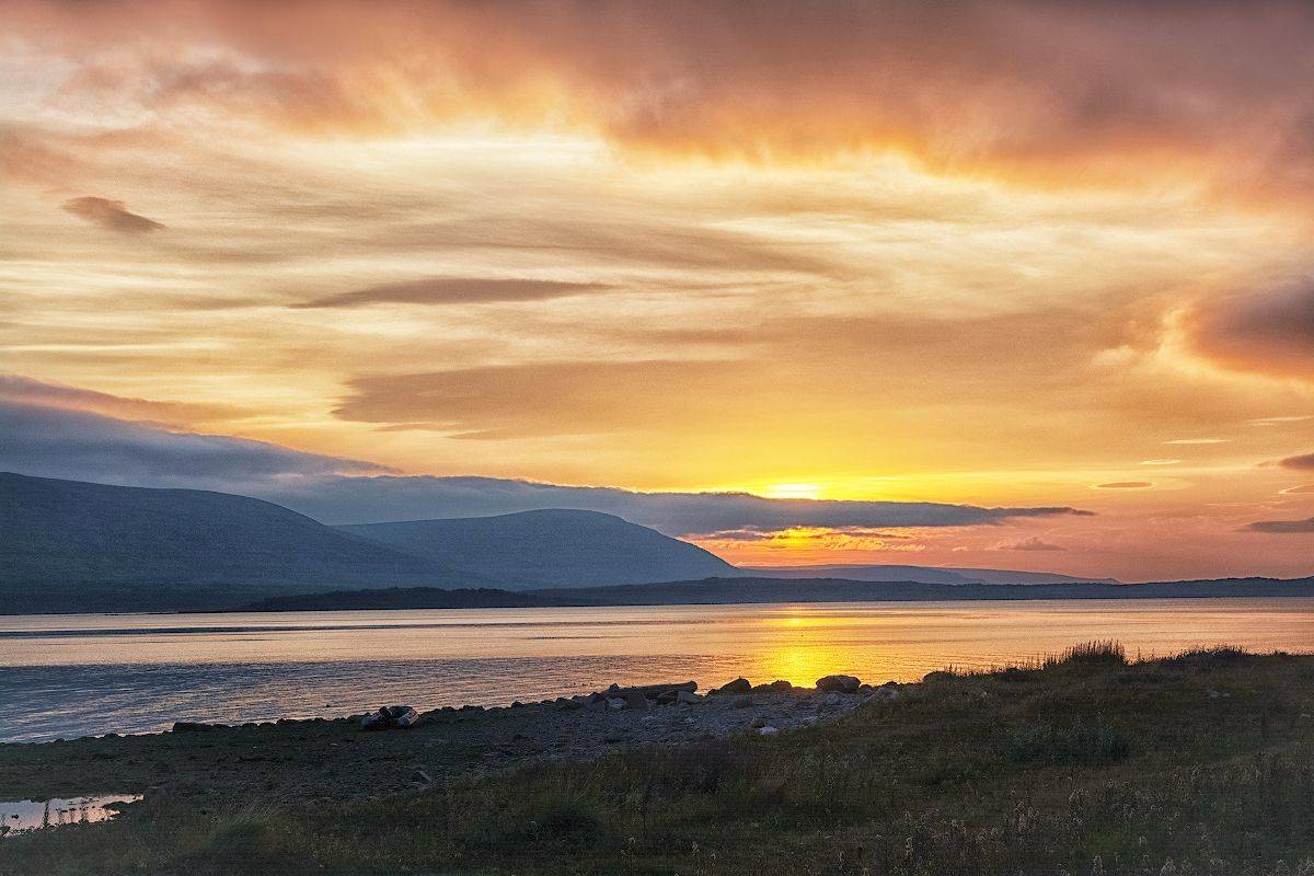 , Марина Никифорова