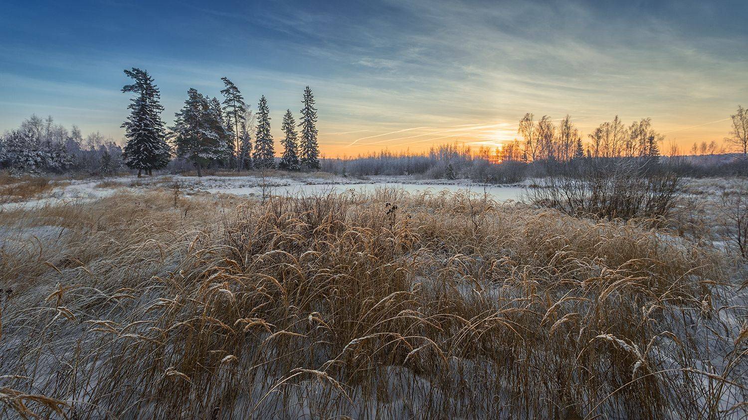 , Андреев Николай