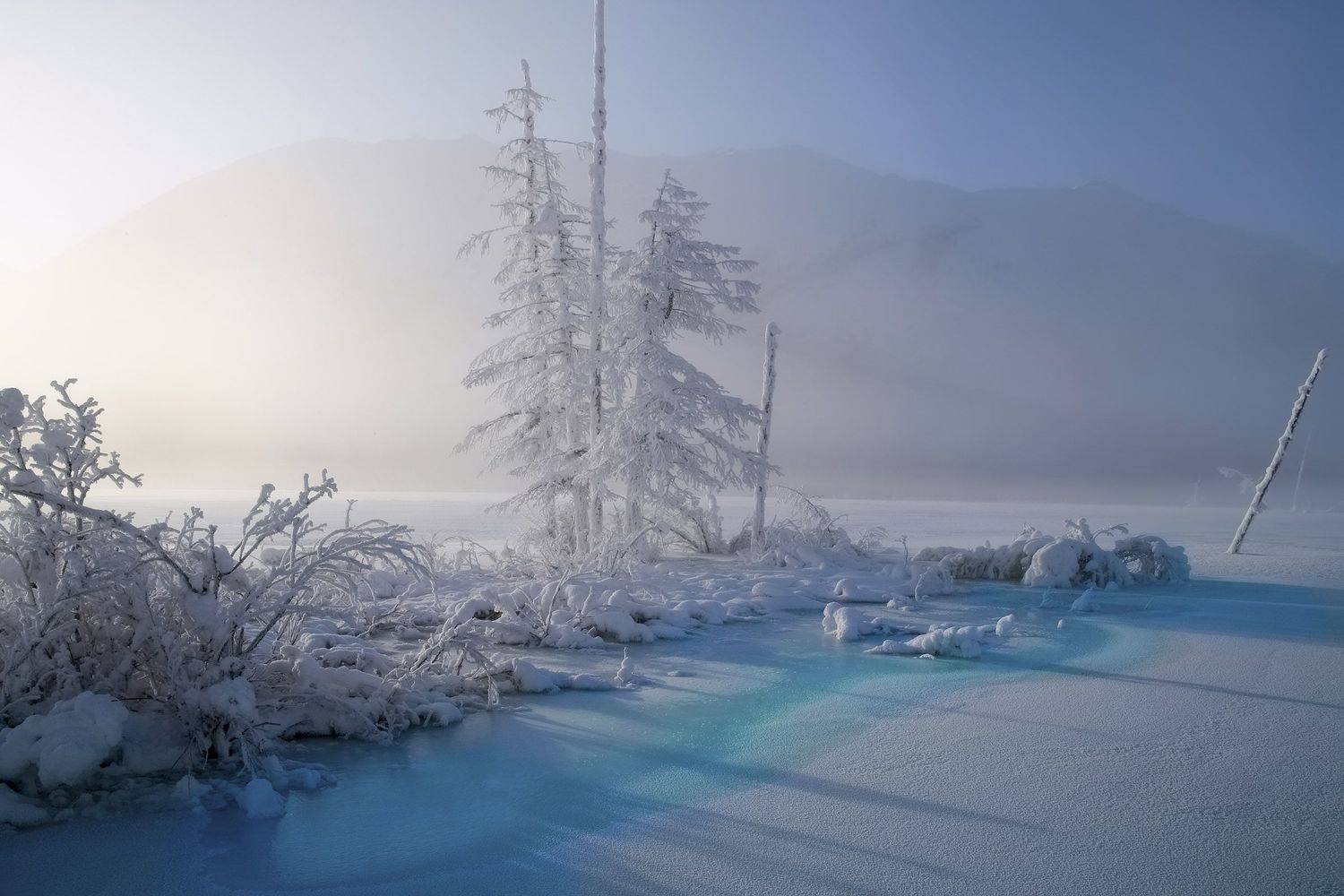 Фототуры с Владимиром Рябковым, #topnature #russpasibo #magic_shots #lovelyRussia #sunset_vision #exclusive_sky  #exclusive_shots #loves_russia2 #photoarena_nature #nature_sultans #nature_perfection #rsa_sky #rsa_sunset #photorussia #rsa_naturepics #sunse, Владимир Рябков