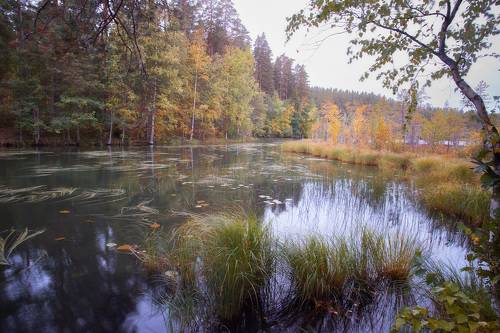 Хмурое утро