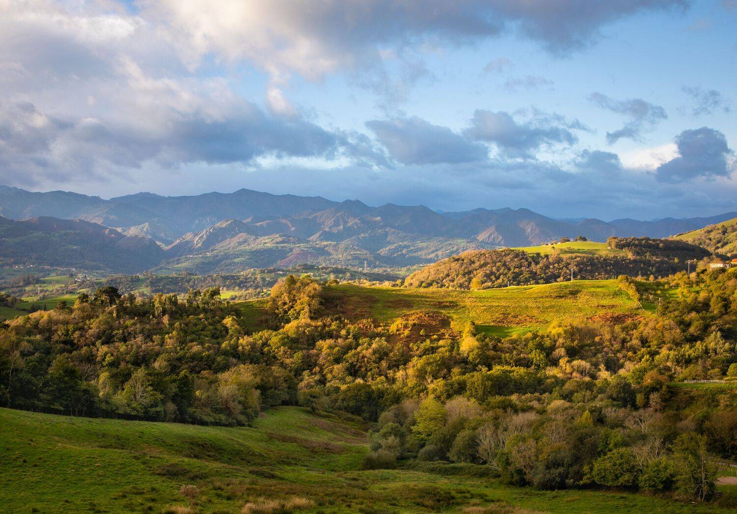 , Алекс Римский