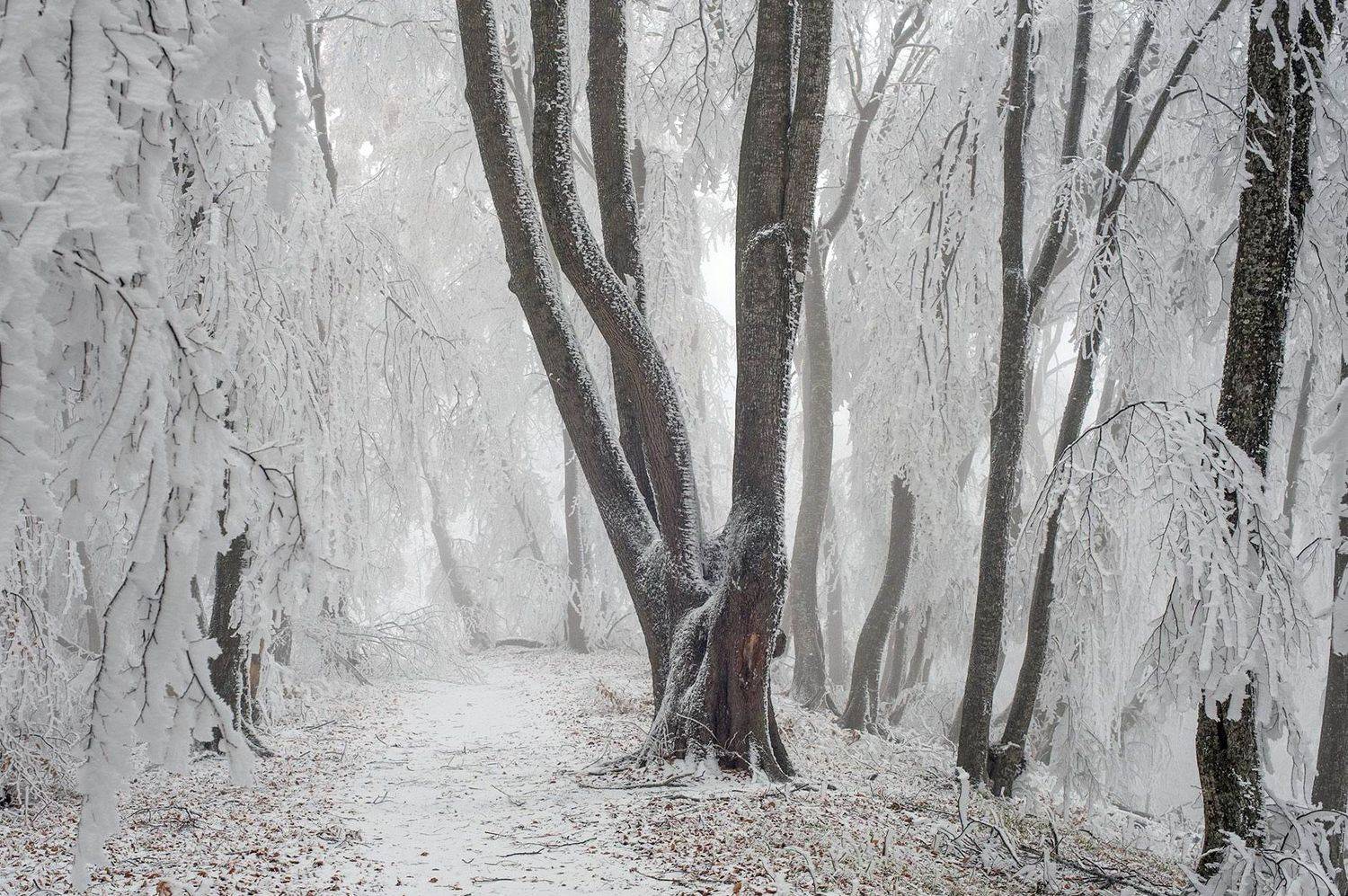 кизиловка, кабардино-балкария, Хасан Журтов