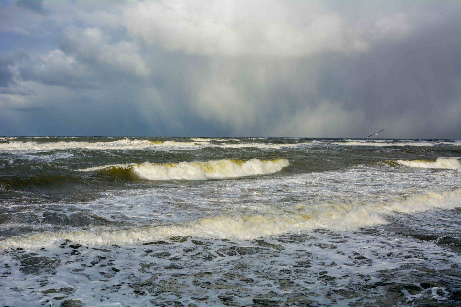 шторм балтика, Allexx