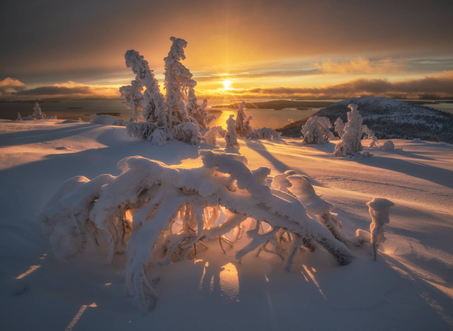 , Андрей Грачев