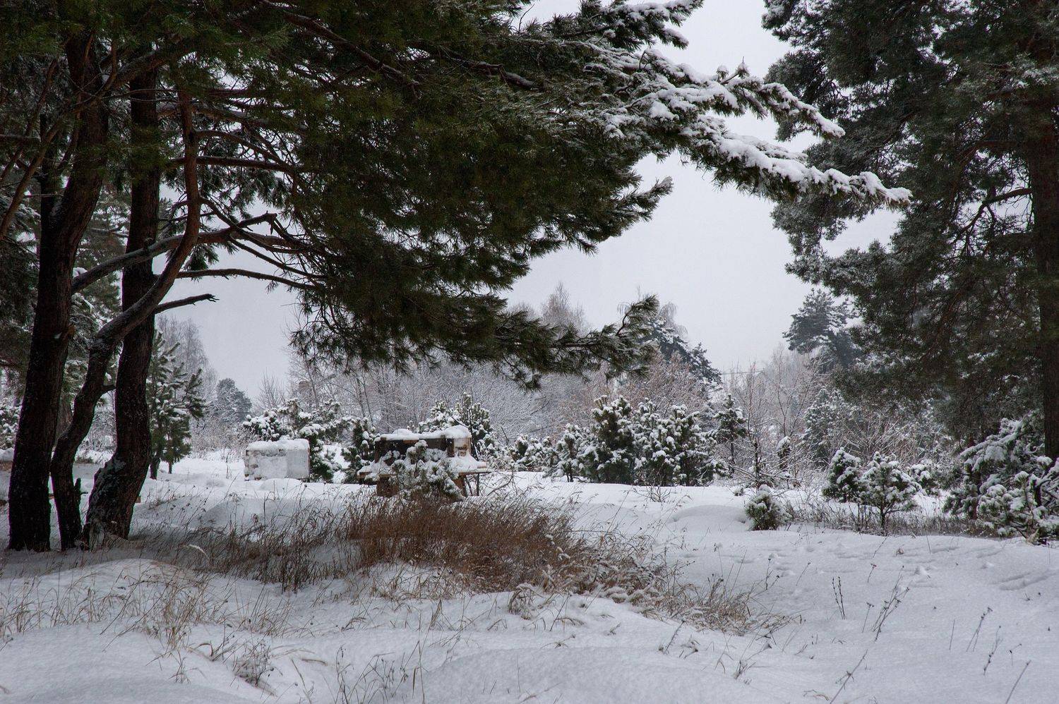 , Владимир Краснов