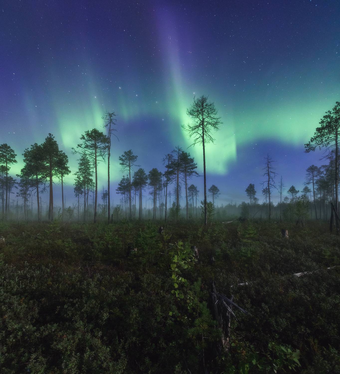 пейзаж, ночь, звезды, осень, северное сияние, полярное сияние, север, туман, landscape, northern lights, aurora borealis, polar lights, nightscape, stars, autumn, fog, Чаланов Иван