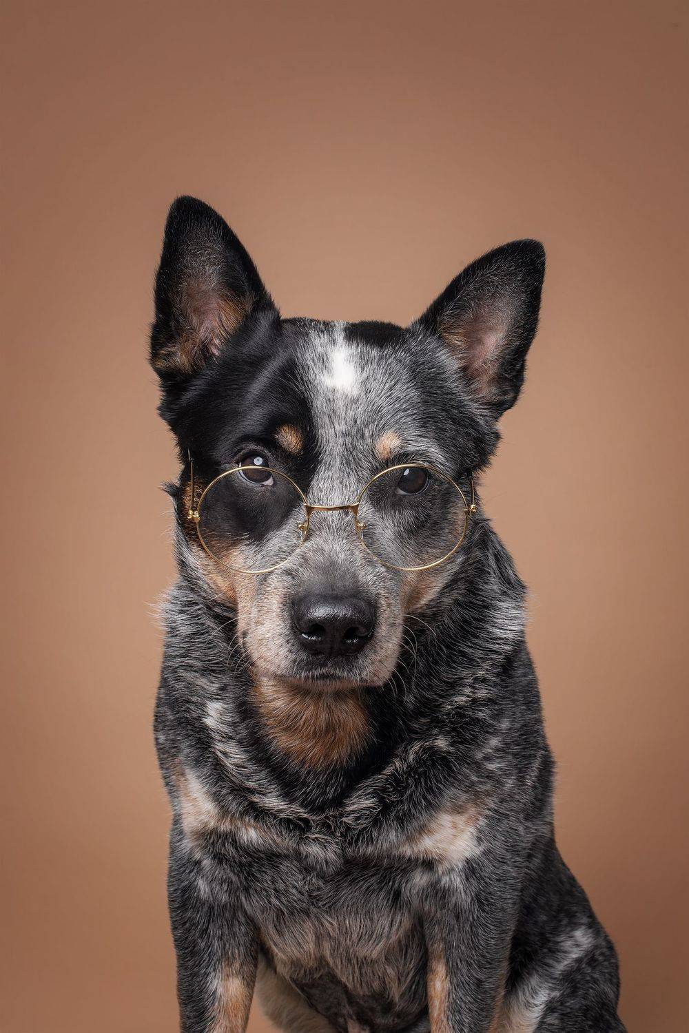 , Юлия Гончар