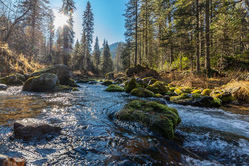 река Мамай. хр. Хамар-Дабан, р. Бурятия. фото превью