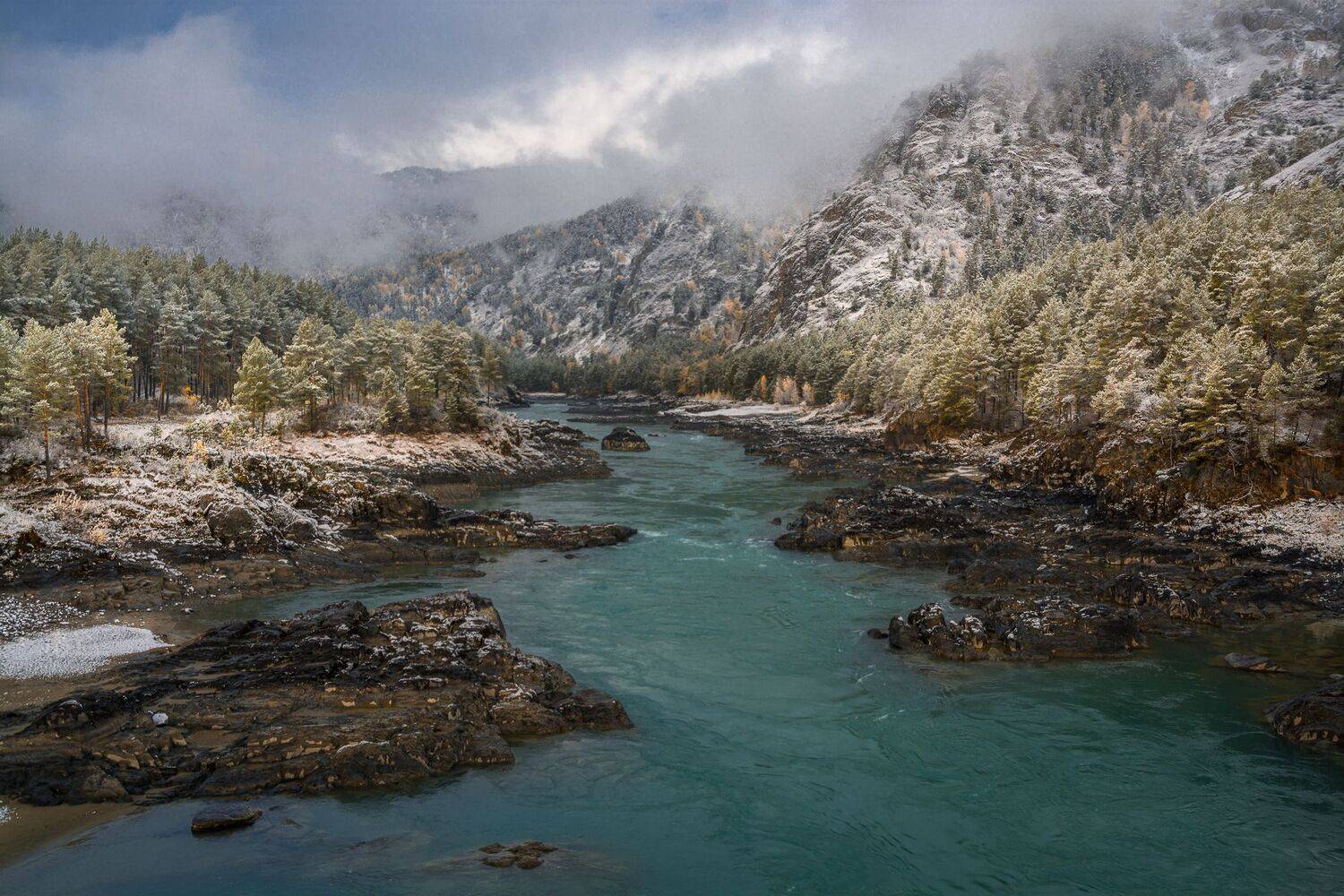 россия, горный алтай, река катунь, туман, утро,осень, Андрей Поляков
