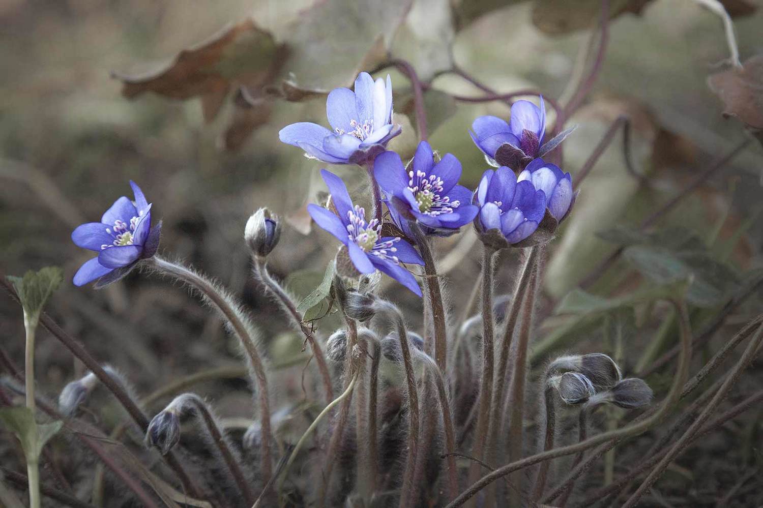 , Напалкин Станислав