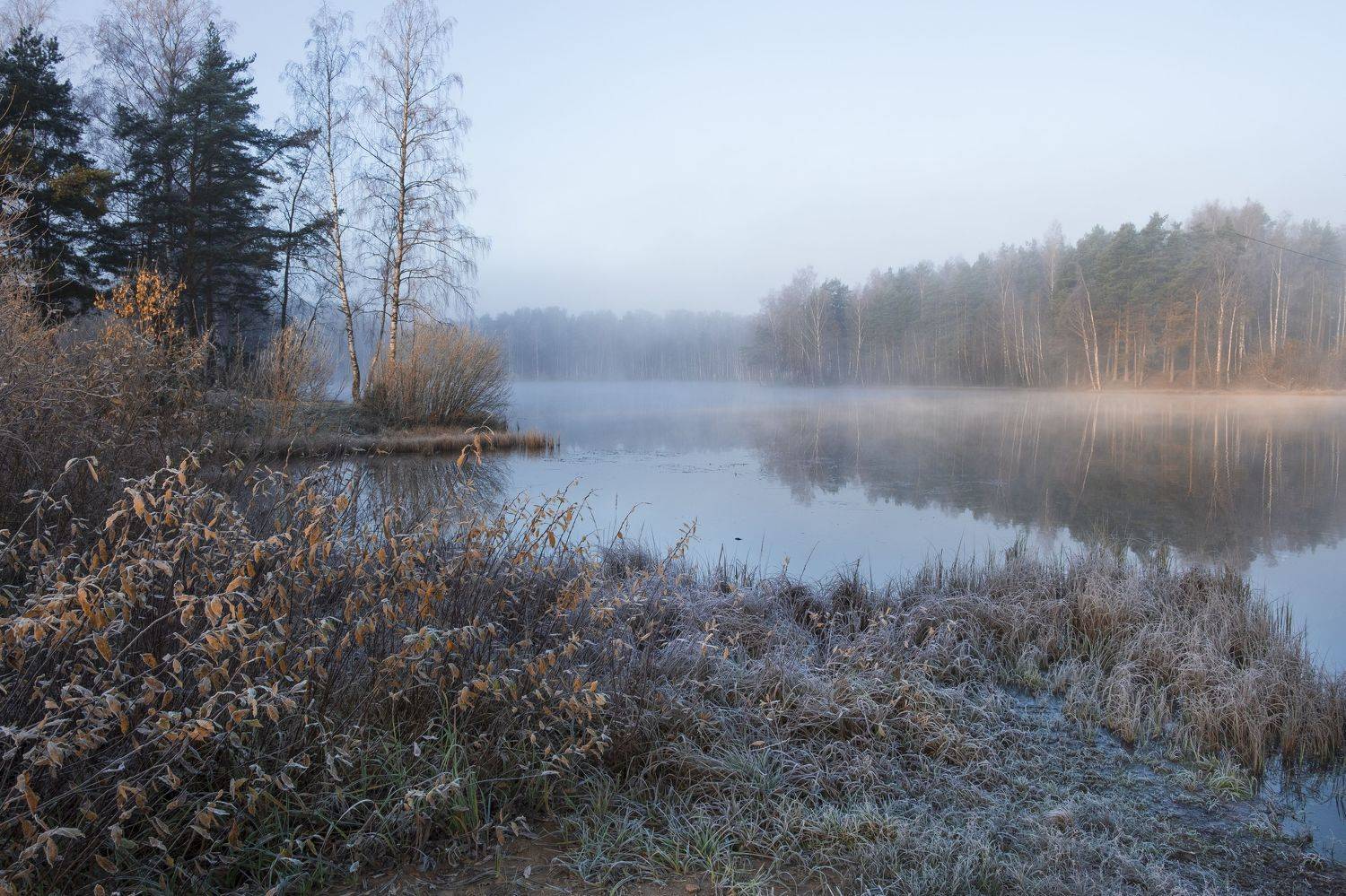 , Светлана Краюшкина