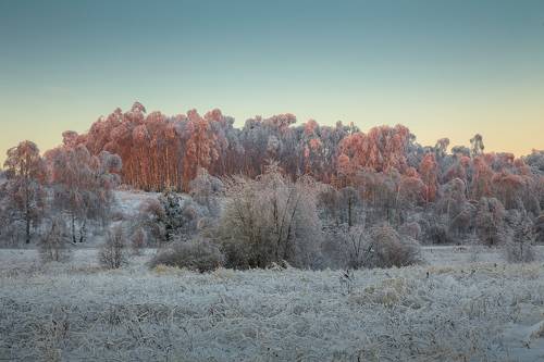 Морозное утро. Первые лучи.