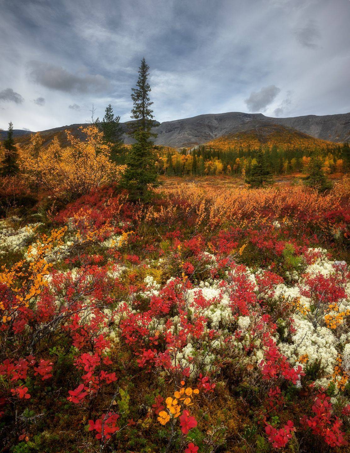 хибины, осень, заполярье, Марголин Алексей