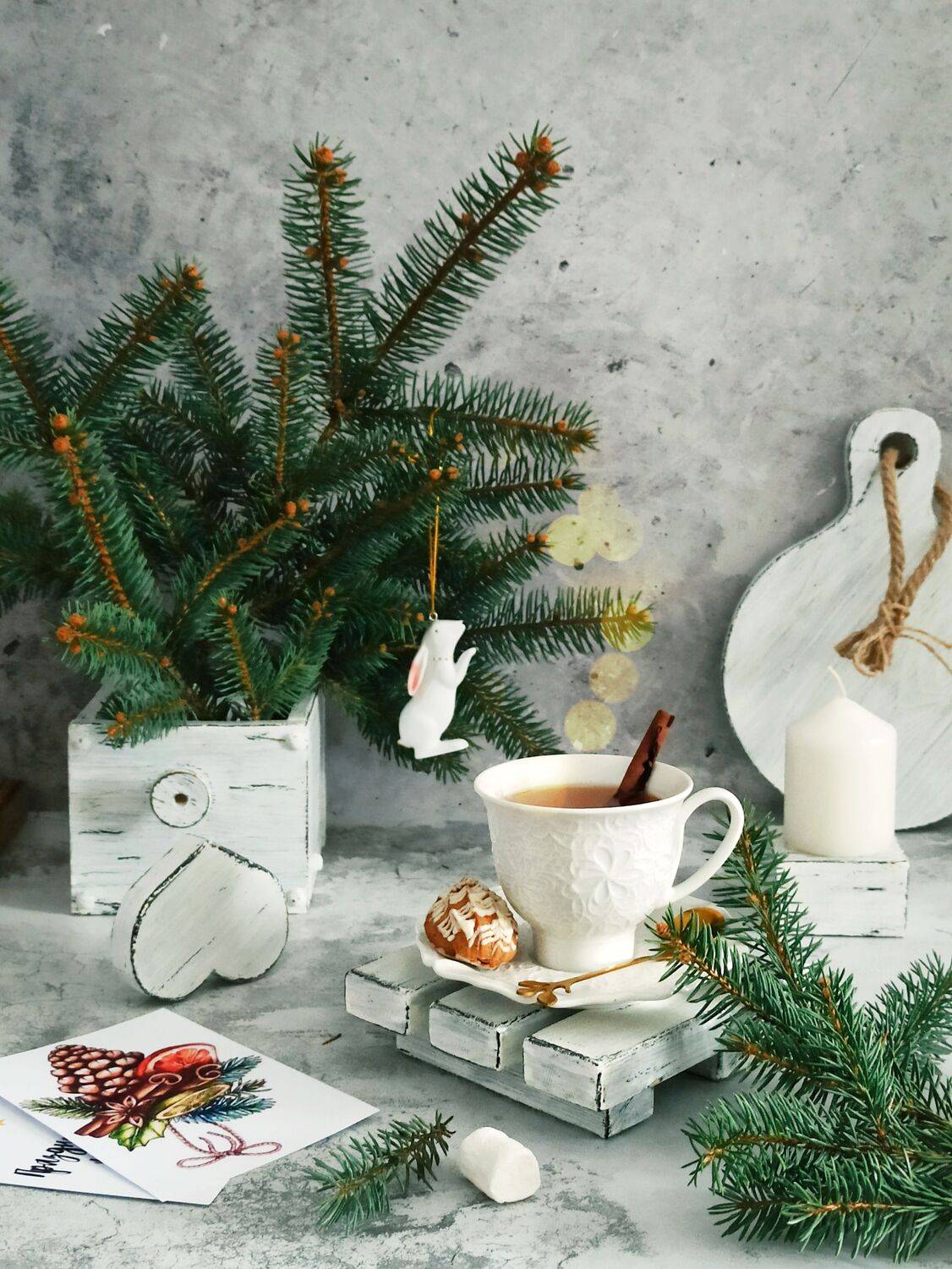 , Дина Полухина