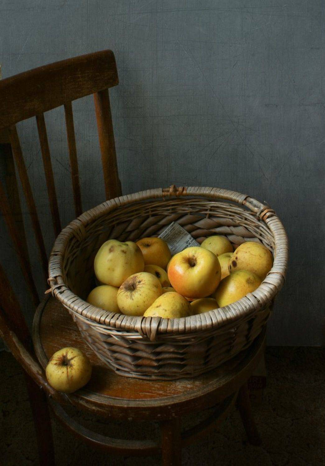 , Колеснева Елена