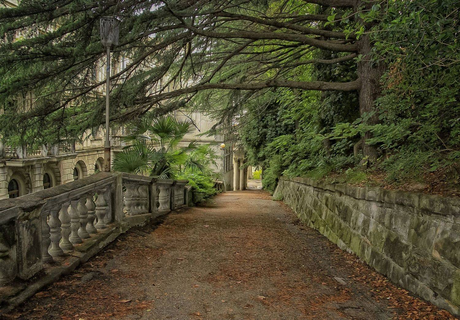 , Лайко Марина