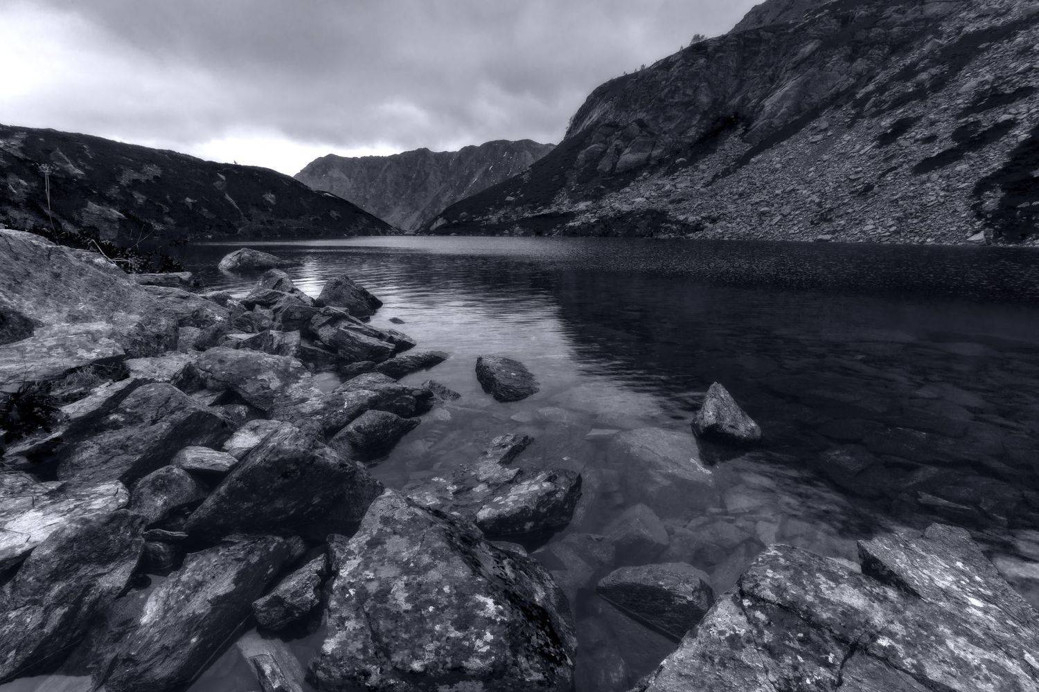 , Юлия Мальцева