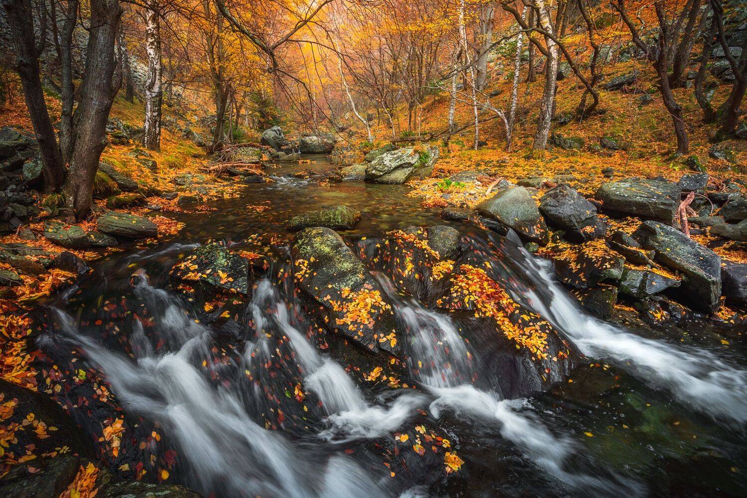 , Mariyana Atanasova - Lucero