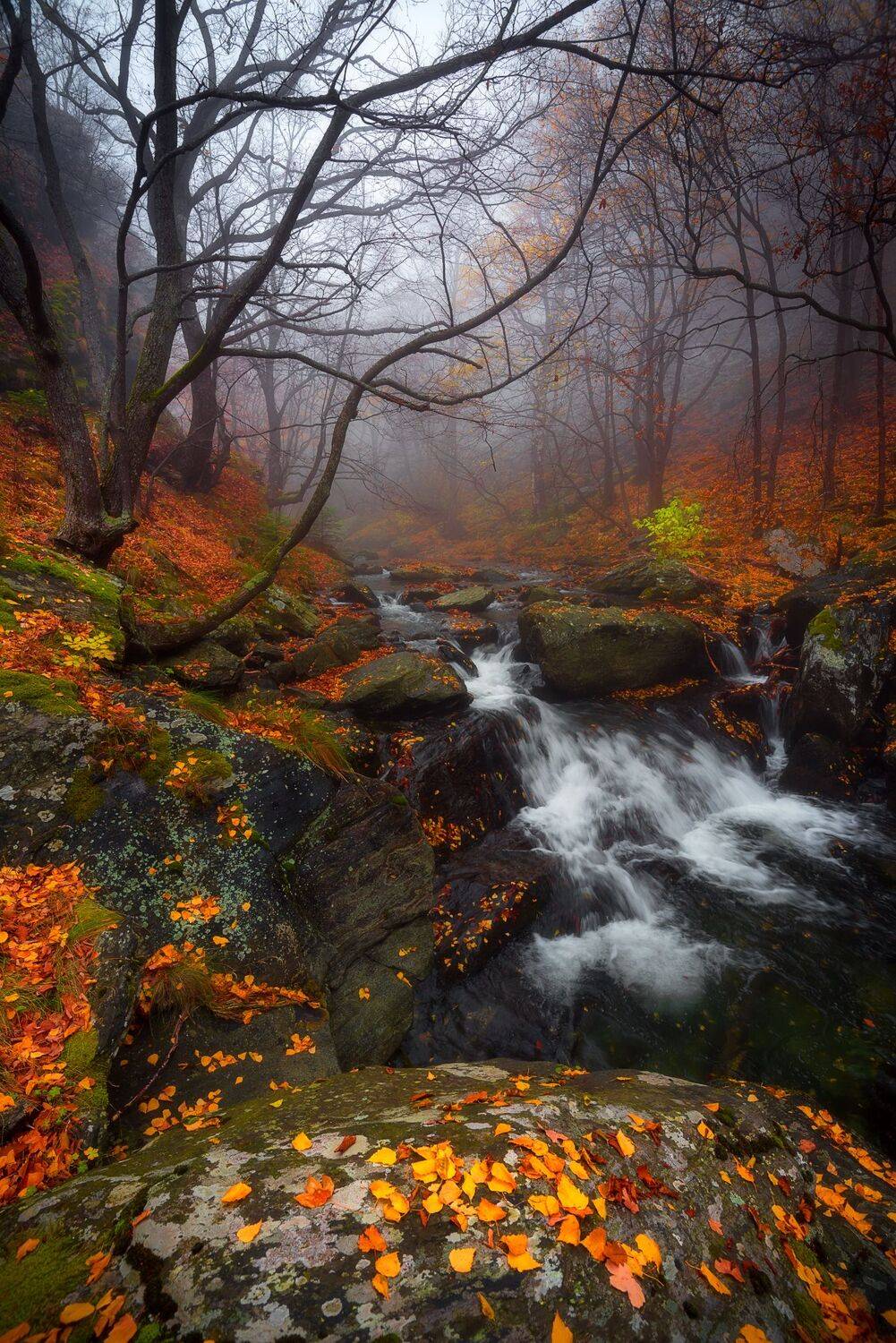 , Mariyana Atanasova - Lucero