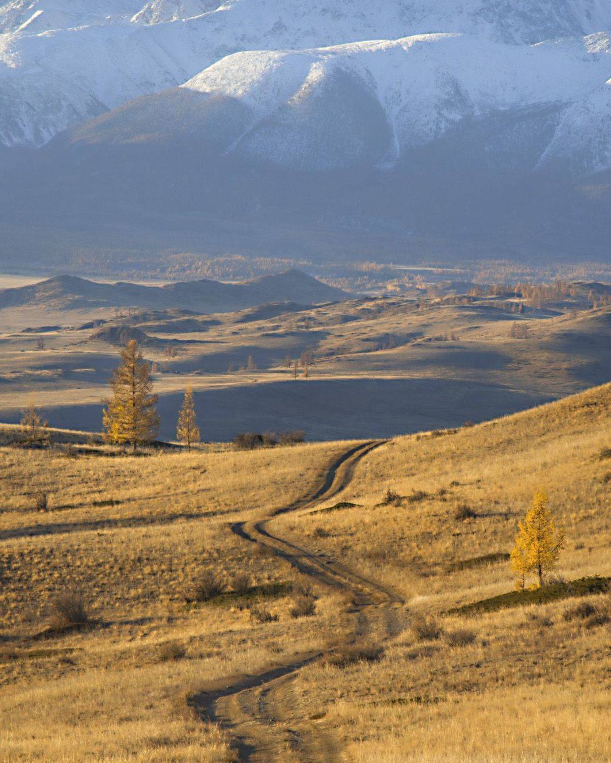 , Вадим Качанов