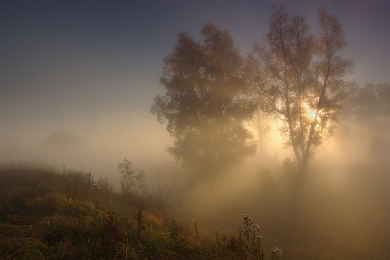 Утро туманное фото превью