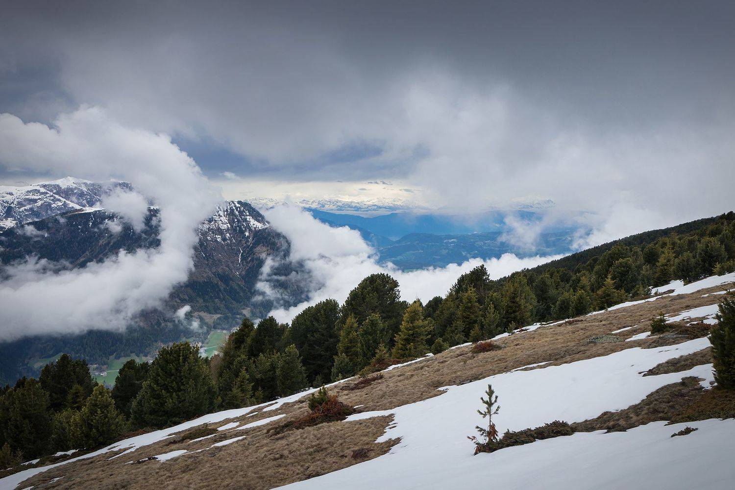 , Владислав Михайлов