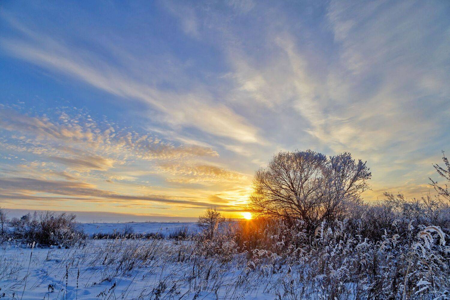 , Максим Подосинников
