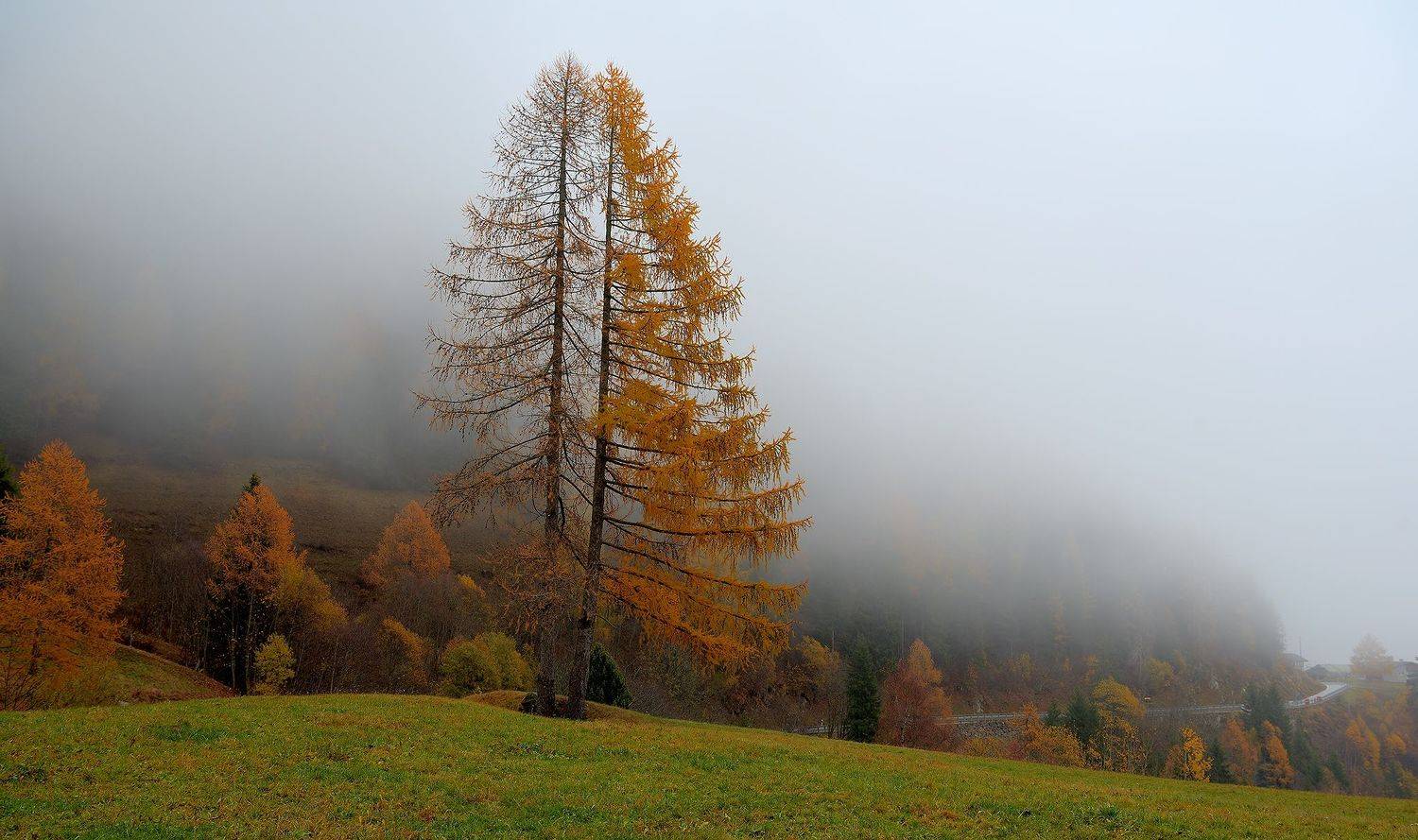 , Руслан Авдевич