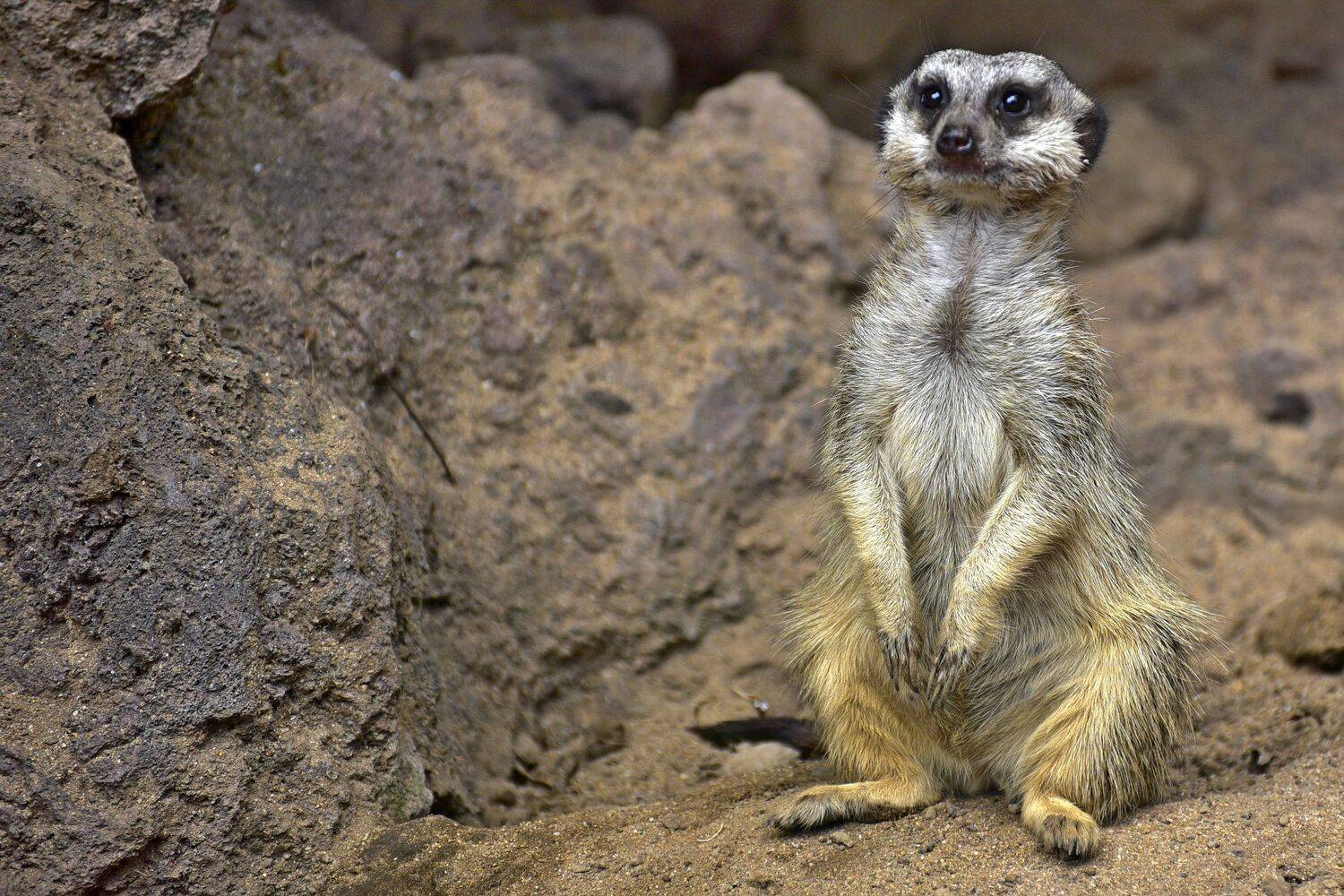 , Корнейчук Игорь