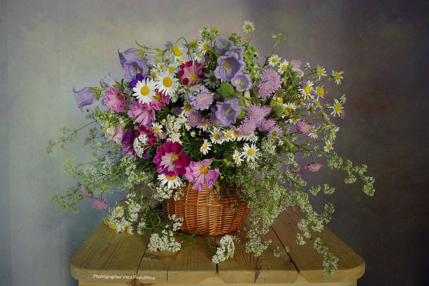 натюрморт, цветы, вера павлунина, колокольчик, ромашки,, Вера  Павлухина