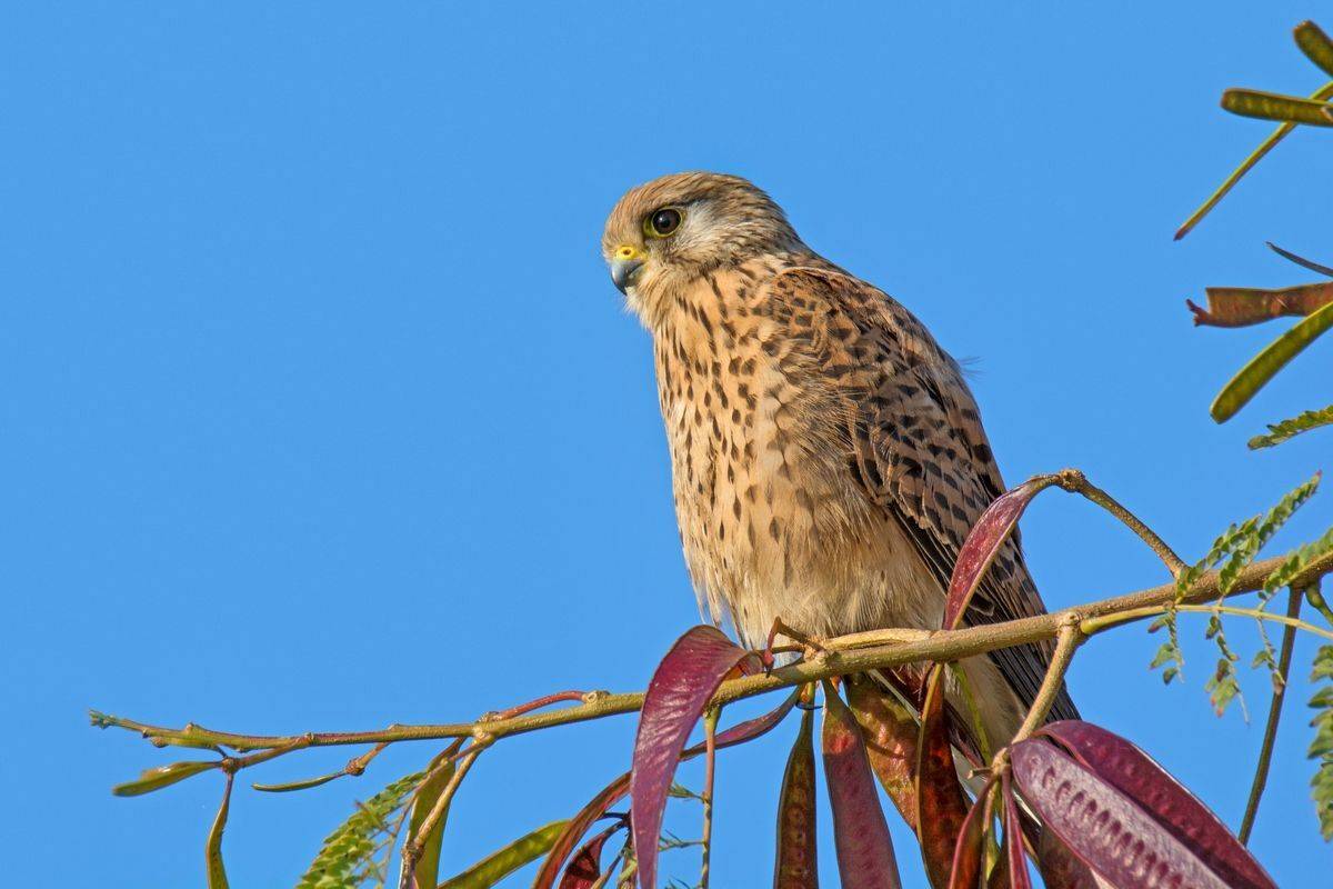 , Людмила Бекман