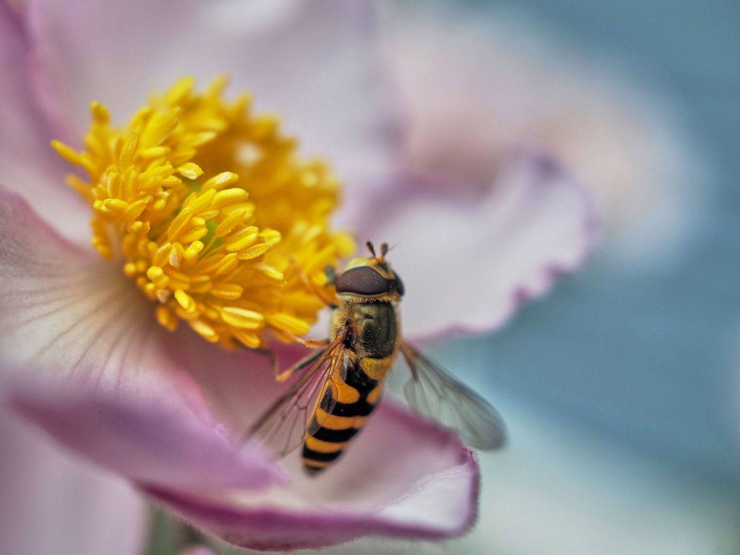 , Леденёв Сергей