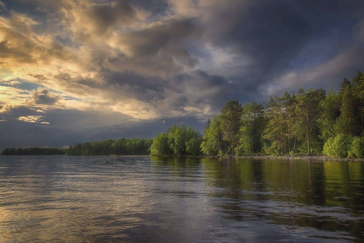 вечер, озеро, лес, берег , онега, Сергей Аникин