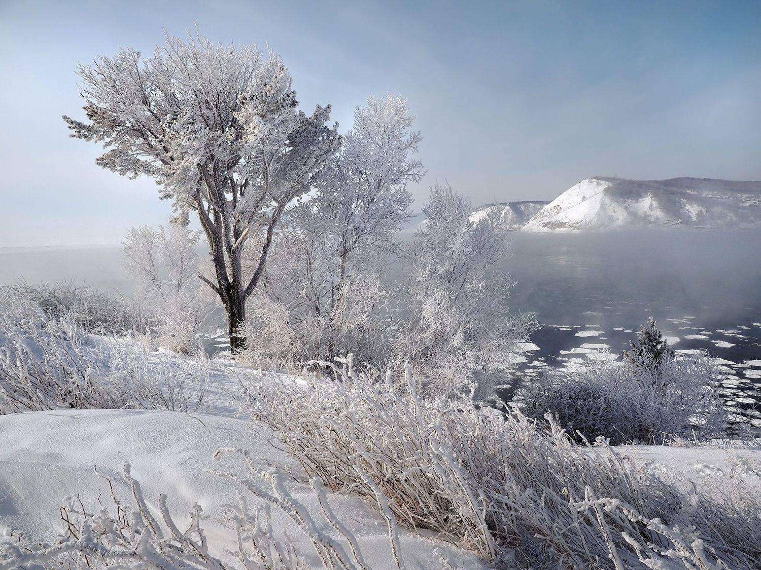 , Александр Попов