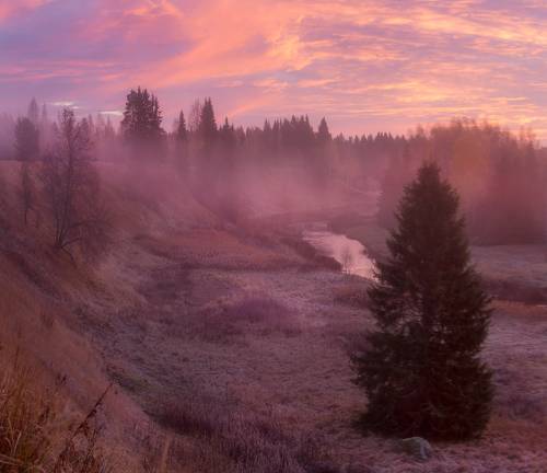 Скоро выпадет снег