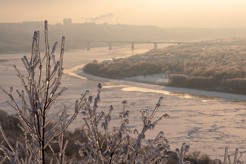 Хрустальные веточки фото превью