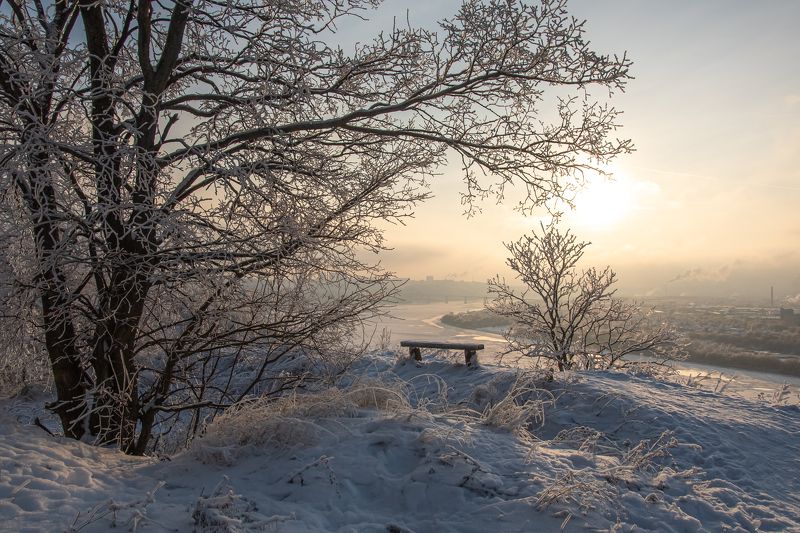зима, снег, иней, начало зимы, На краю зимы фото превью