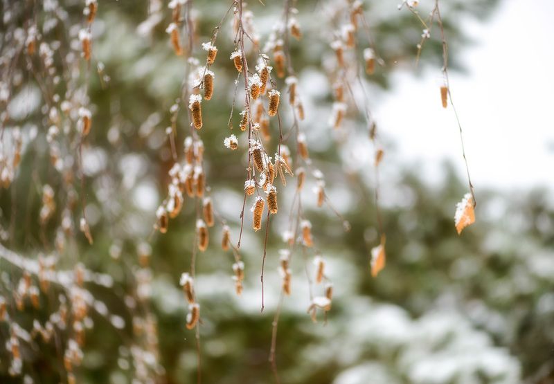 конец ноября фото превью