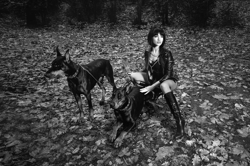 Эла фото превью