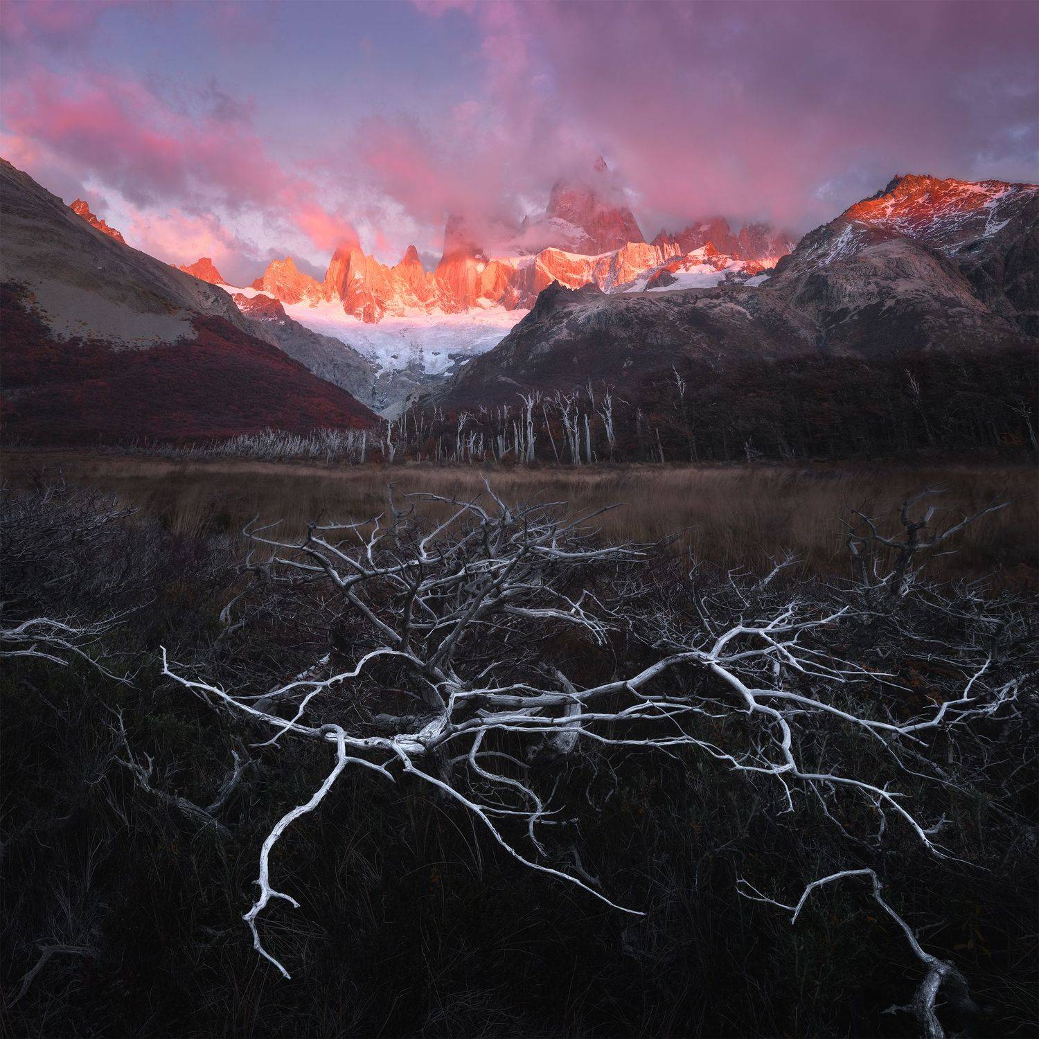 , Политова Анна